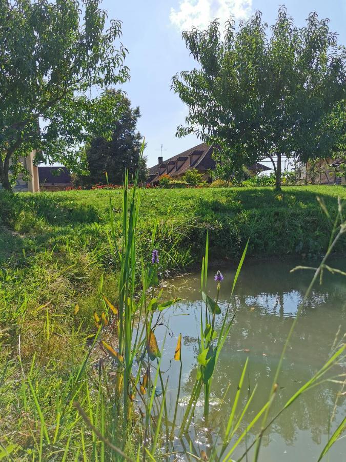 Gite De La Ferme De La Terve Bruailles ภายนอก รูปภาพ